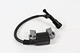 Ignition Module Coil